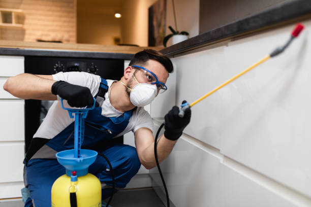 Best Pest Prevention Services  in Shively, KY