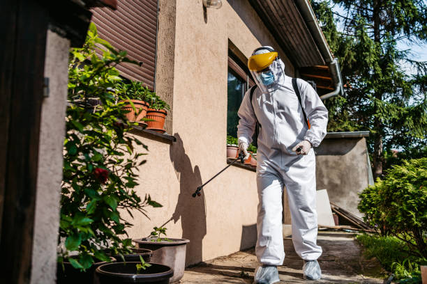 Best Cockroach Control Services  in Shively, KY