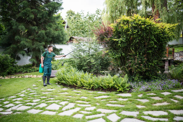 Best Insect Control  in Shively, KY