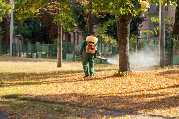 Best Mosquito Control Services  in Shively, KY